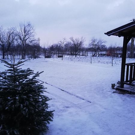 Casa De Vacanta Ayan Hărman Стая снимка