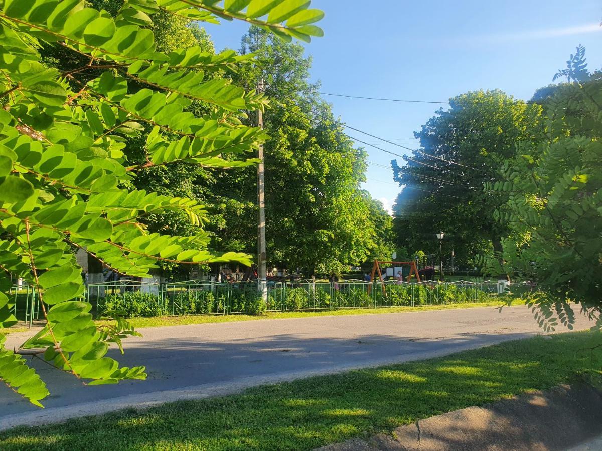 Casa De Vacanta Ayan Hărman Екстериор снимка