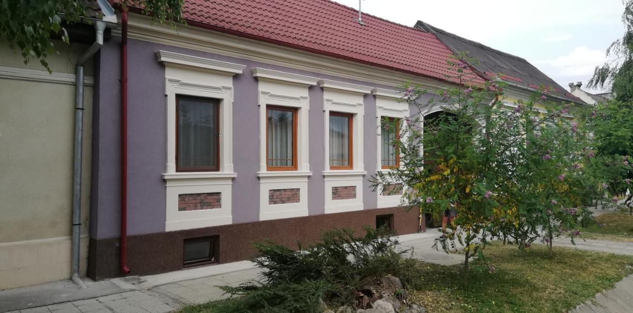 Casa De Vacanta Ayan Hărman Екстериор снимка