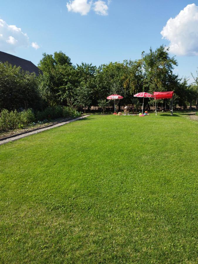 Casa De Vacanta Ayan Hărman Екстериор снимка