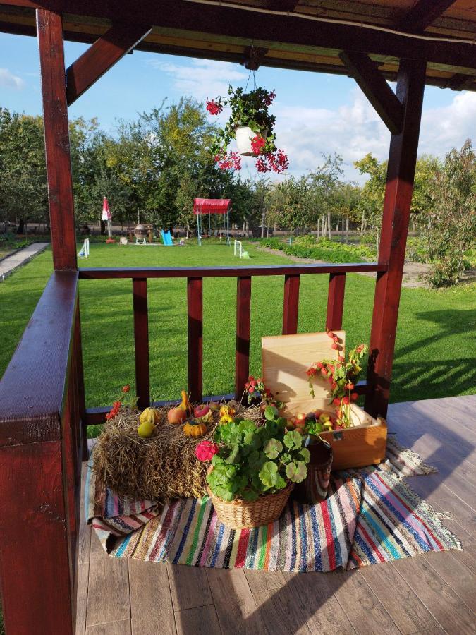 Casa De Vacanta Ayan Hărman Екстериор снимка