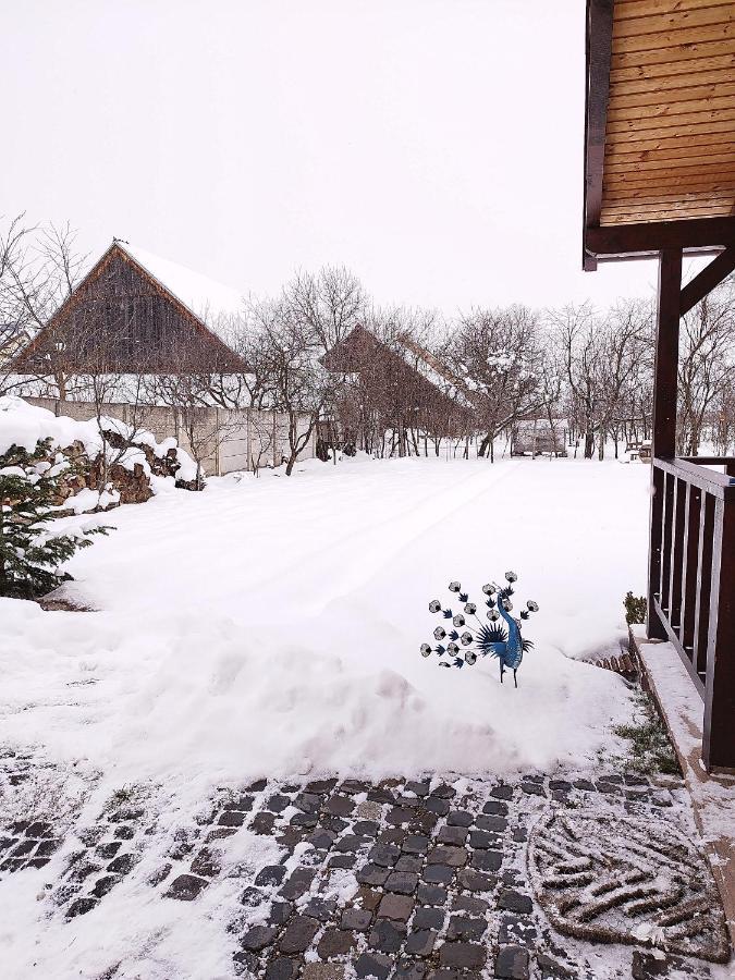 Casa De Vacanta Ayan Hărman Екстериор снимка